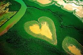 yann arthus bertrand earth from the air