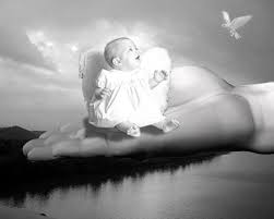 angels babies