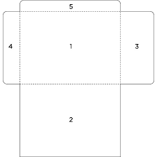 printable punnett square test