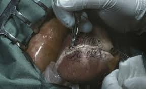 real heart tattoo pictures