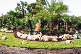 landscape ideas