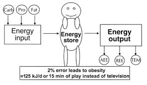 effects of obesity