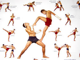 muay thai elbows