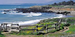 irving california bainbridge