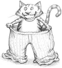 cat pajama