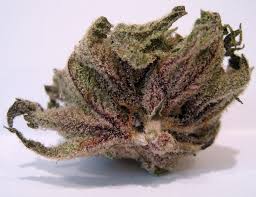 grape ape