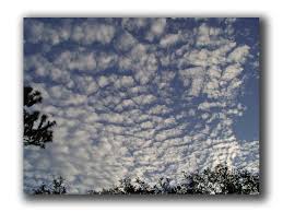 buttermilk sky