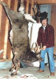 biggest whitetail