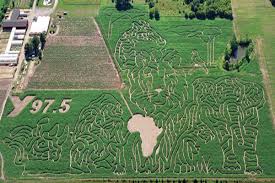 Africa theme corn maze.