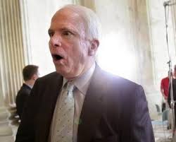 mccain contributions