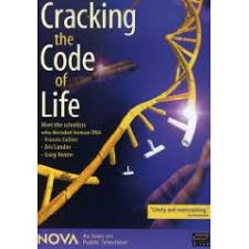 cracking code
