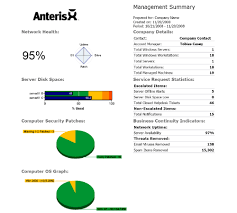 executive summary example