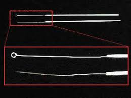 inoculating needle