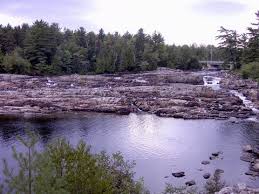 nature pictures