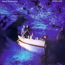 Echo & The Bunnymen - Read It In Books