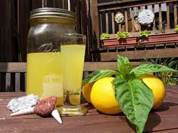 lemon cello