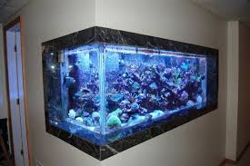 fish tank wall