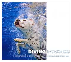book dust jacket