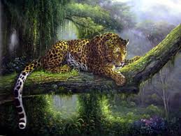 animal wild