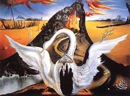 dali swans