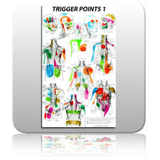 trigger point charts