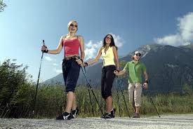 nordic walker