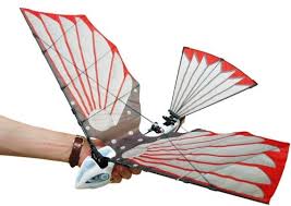 radio controlled bird