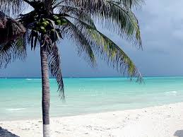 cozumel photos