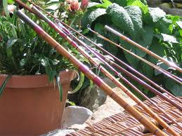 cane rods