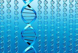 dna strands
