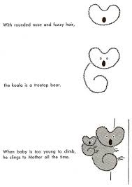 koala drawing