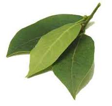 bay laurel leaves