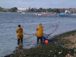 seine netting