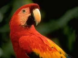 cute colorful pictures