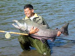 fly fish new zealand