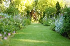 small garden pictures