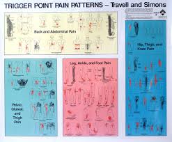 trigger point charts