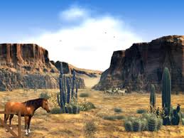wild west
