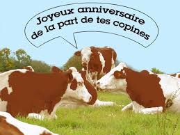 cartes anniversaire humour