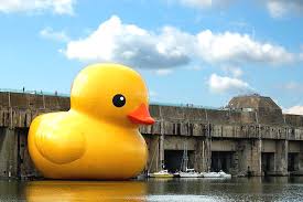 rubber ducks