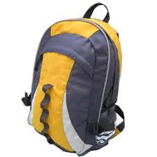 chinese backpacks