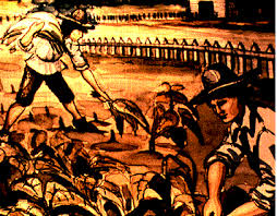 indentured servants