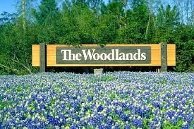 the woodlands