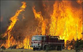 victorian bushfires