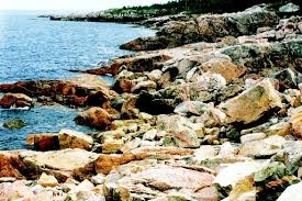 coastal pollution