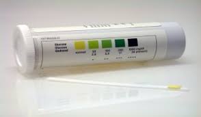 dipstick urine test