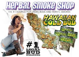 cool marijuana pipes