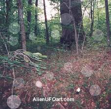 orbs