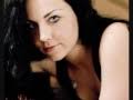 evanescence a final dream