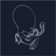 sigur ros albums